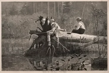 Venter på en bid, 1874.