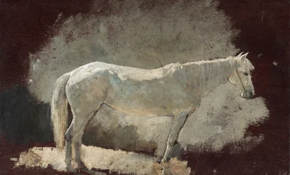 Hvid Hoppe, ca. 1868.