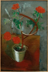 Røde blomster