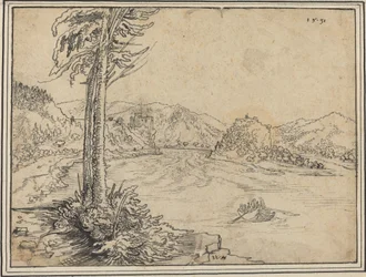 Donau-floden nær Grein
