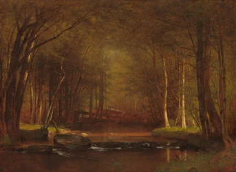Trout Brook i Catskills
