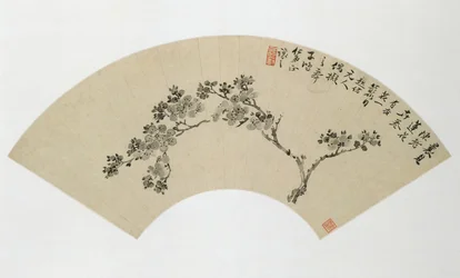 Abrikos, 1800-tallet.