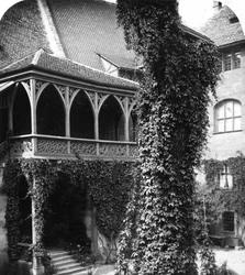 Lindetræ i en gårdhave, Nürnberg, Bayern, Tyskland, omkring 1900-tallet.