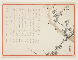 (blommeblomster)