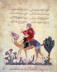 En kamelrejsende. Miniature fra "" Maqamat"" (Seances) af Abu Mohammed al-Kasim ibn Ali Hariri (eller Al-Hariri eller Al Hariri) (1054-1122) oplyst af Yahya Mahmud al-Wasiti (al Wasiti) i 1237, Paris, BN