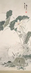 Hejre og lotus, n.d.