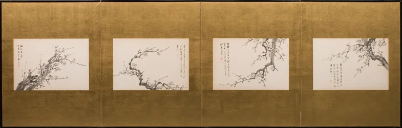 Prunus blomstrer