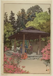 Azalea Have