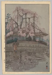 Otte scener med kirsebærblomstring: forårsregn (Sakura kan ikke lide: Harusame)
