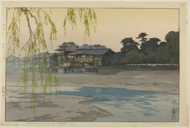 Med Kamogawa