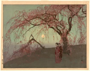 Kumoi kirsebærtræer (Kumoi sakura)