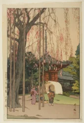 Kirsebærtræet i Kawagoe