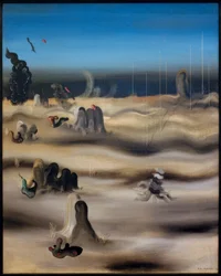 Skyggeland