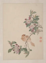 Fugle, insekter og blomster