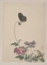 Fugle, insekter og blomster