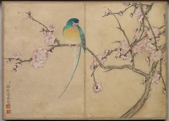 Skrivebordsalbum: Flower and Bird Paintings Bird with Plum Blossoms, 1700-tallet.