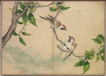 Skrivebordsalbum: Flower and Bird Paintings Gossiping Sparrows, 18th Century.