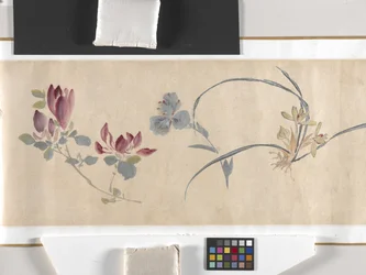 Farvede blomster