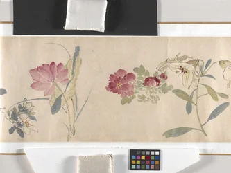 Farvede blomster