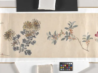 Farvede blomster