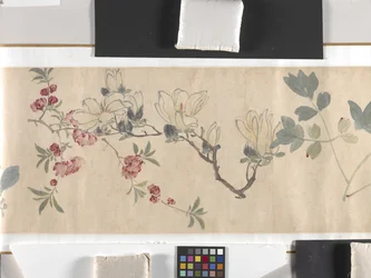 Farvede blomster