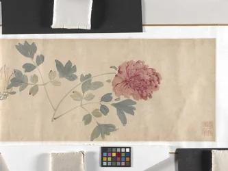 Farvede blomster