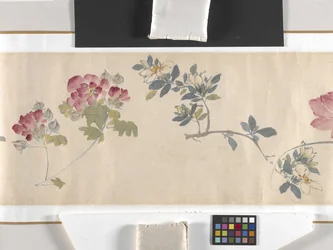Farvede blomster