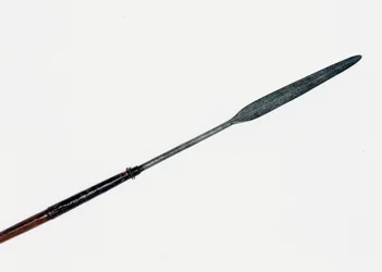Assegai kom sig fra nærheden af Prince Imperials lig