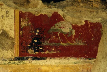 Fugl, freskofragment, Salus Augusta Temple-Cryptoporticus, antikke romerske by Urbs Salvia, Urbisaglia, Marche, Italien (foto)