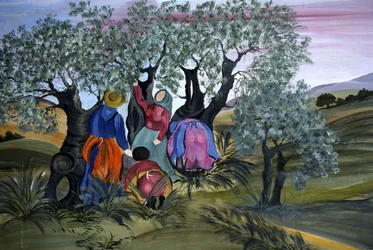 Olivenplukning, naiv af Barbara Mencarelli, Mandoleto, Solomeo, Umbrien, Italien