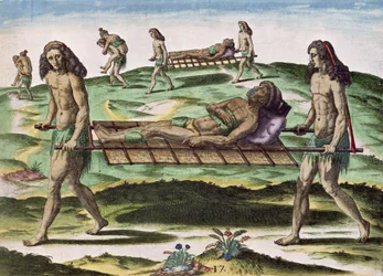 Hermafroditter, der transporterer de sårede, fra 