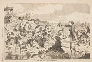 august på landet – Havkysten