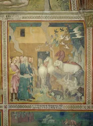 Noah Leading the Animals into the Ark, 1356-67 (se også 59303)