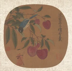 En flok lilla litchi