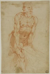 Mand trækker i et lagen: Studie til gravlæggelsen [Sakristiet i Certosa di San Martino, Napoli, 1596].