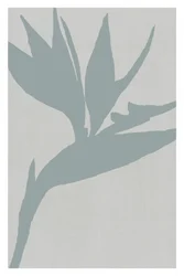 Paradisfuglens silhuet