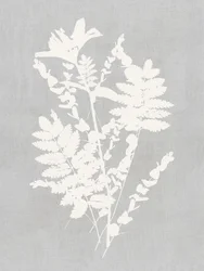 Studie af botaniske silhuetter