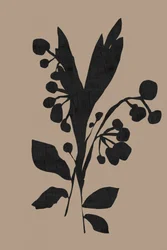 Mørk botanisk silhuet