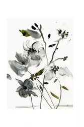 Elegante abstrakte blomster