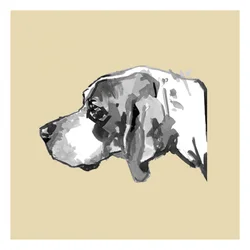 Elegant hundeprofil