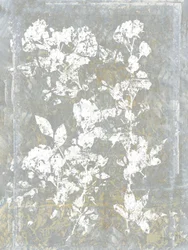 Blegnet blomstersilhuet