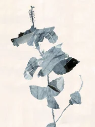 Hibiscusblomst – abstrakt