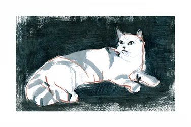 Den liggende hvide kat