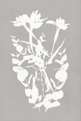 Moderne botaniske silhuetter