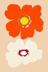 Orange og hvide blomster