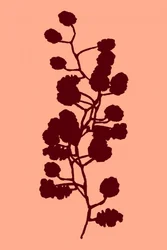 Fersken – botanisk silhuet