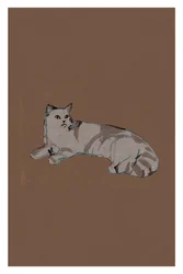 Afslappet grå kat