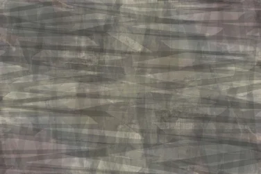 Diskrete geometriske lag