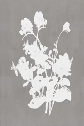 Hvid blomstersilhuet