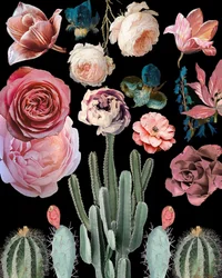 Kaktus, blomster, botanik